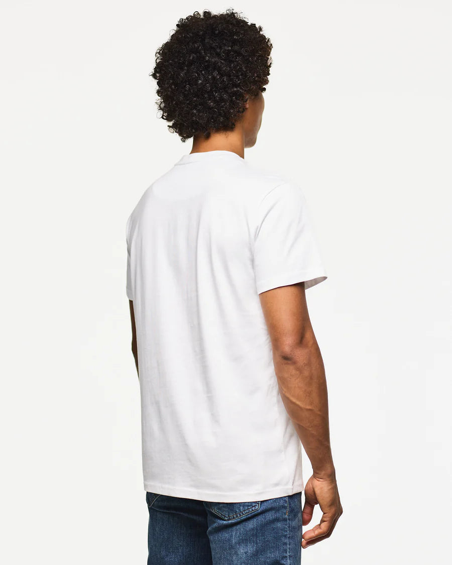 Person wearing a plain white t-shirt on a white background