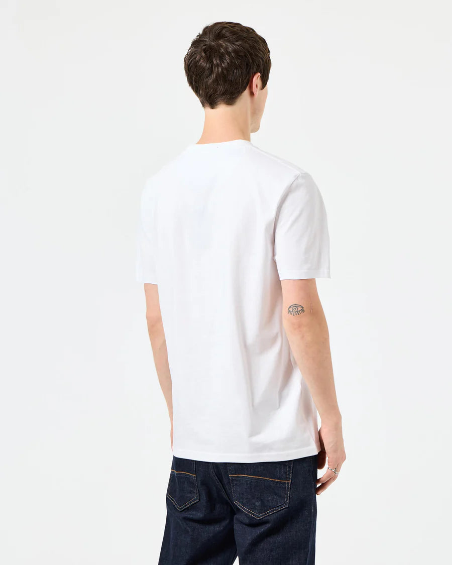 Person wearing a plain white t-shirt on a white background