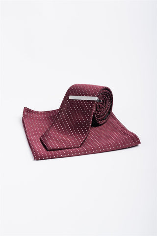 House of Cavani Polka Dot Wine Tie