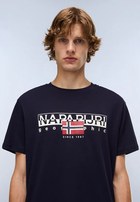 Napapijri Aylmer T-Shirt – Black